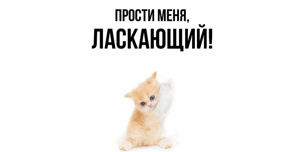 Открытка  для любимых и родных. ласкающий, Прости меня  