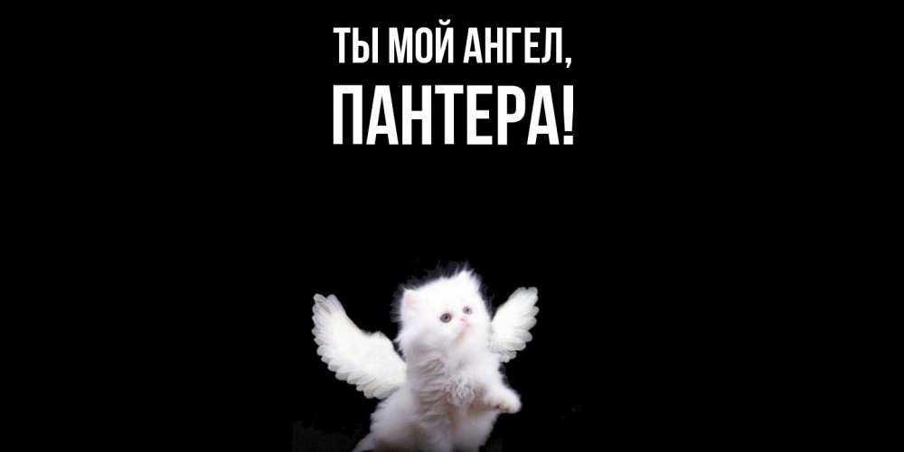 Открытка  для любимых и родных. пантера, Ты мой ангел  