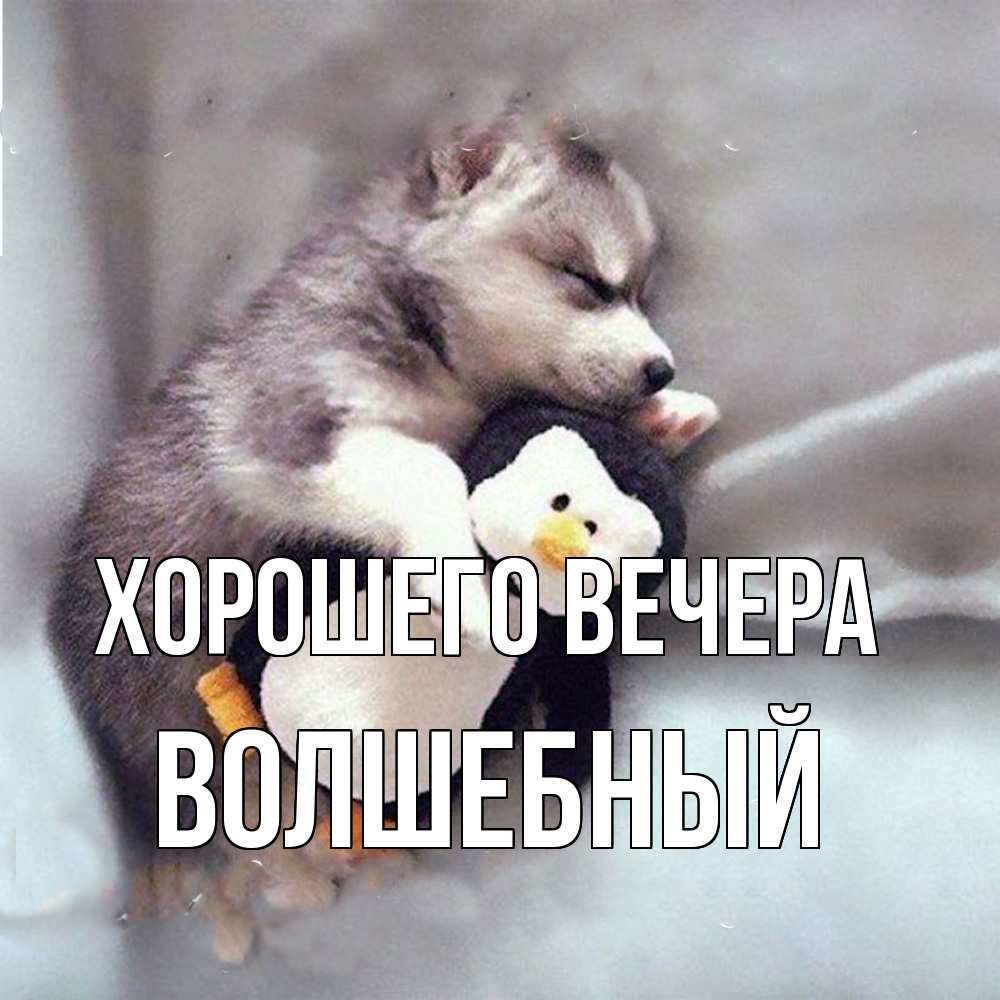 Открытка с именем, волшебный, Хорошего вечера