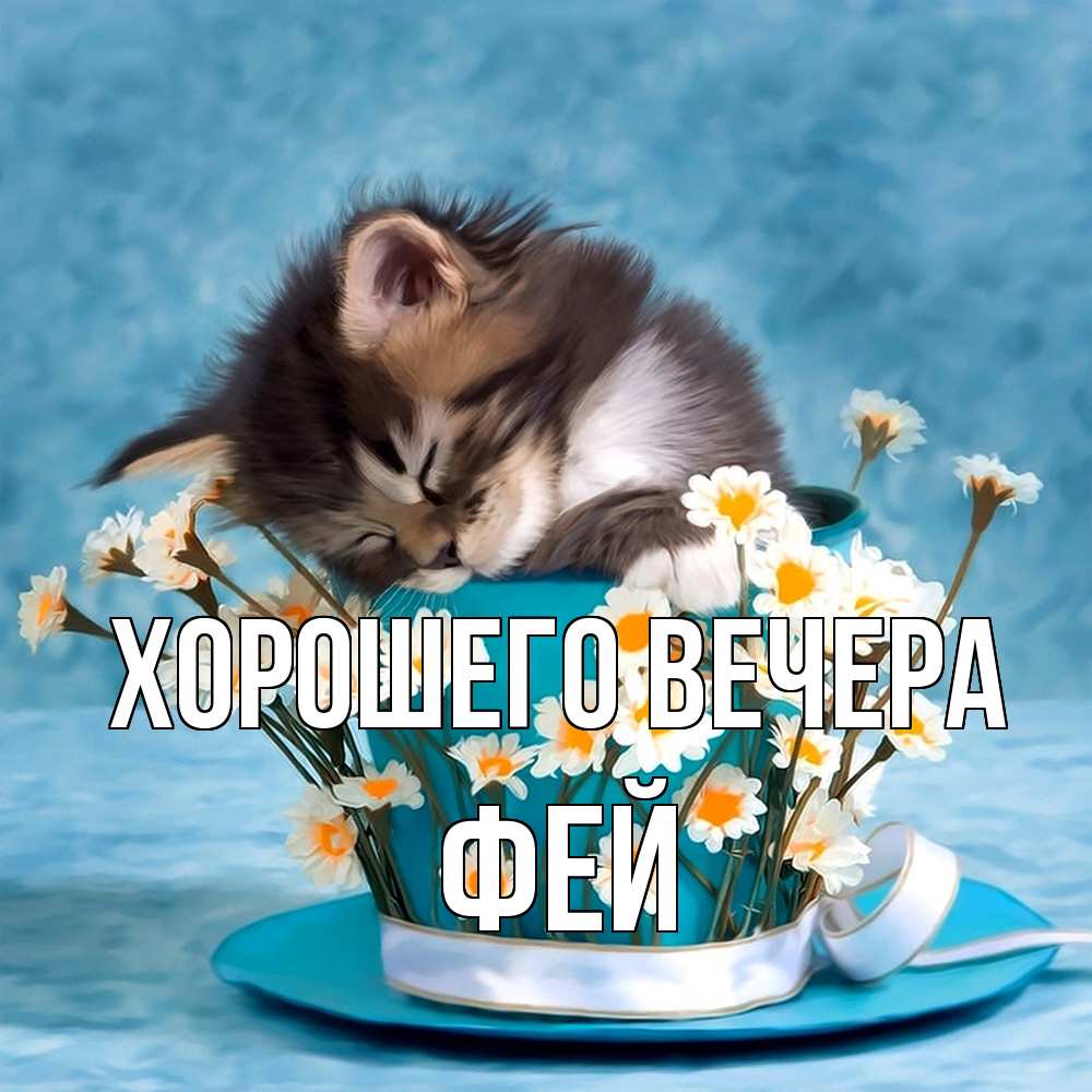 Картинка Хорошего вечера, фей