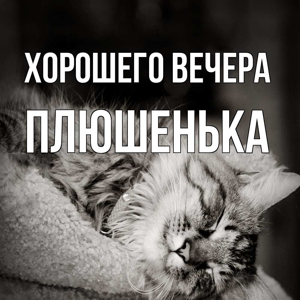 Картинка Хорошего вечера, плюшенька