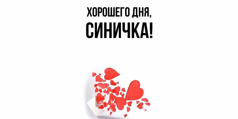 Открытка  для любимых и родных. синичка, Хорошего дня  