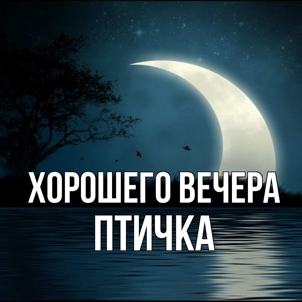 Открытка с именем, птичка, Хорошего вечера