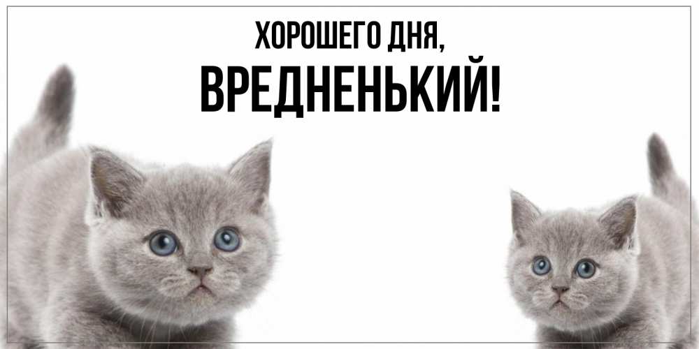 Открытка  для любимых и родных. вредненький, Хорошего дня  