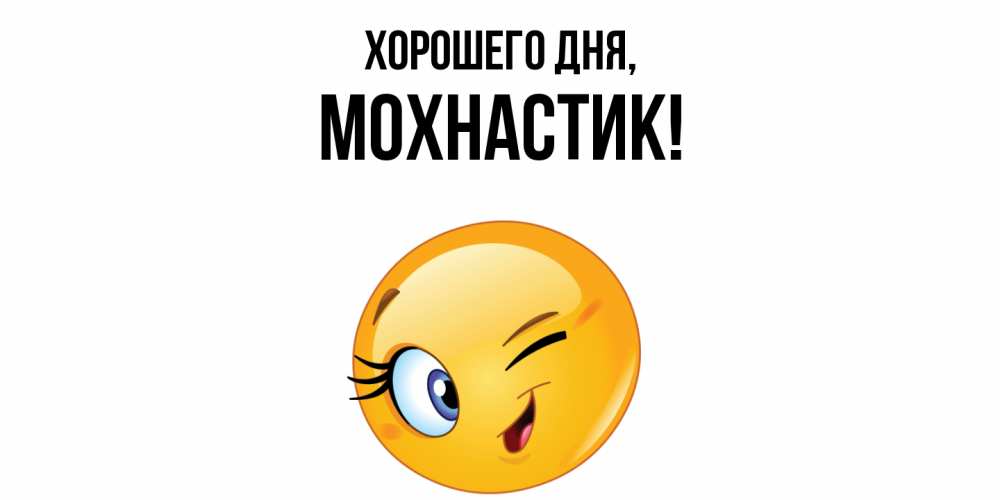 Открытка  для любимых и родных. мохнастик, Хорошего дня  