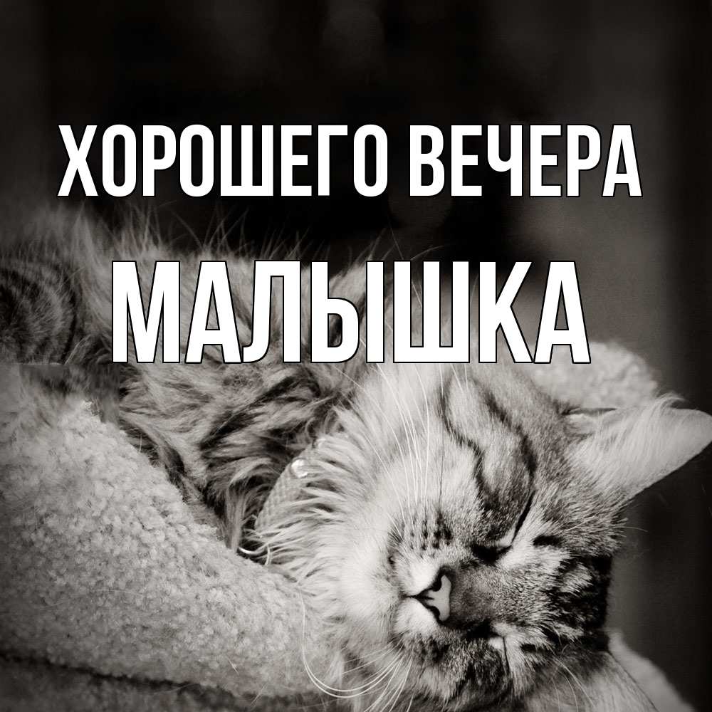 Открытка  для любимых и родных. малышка, Хорошего вечера  