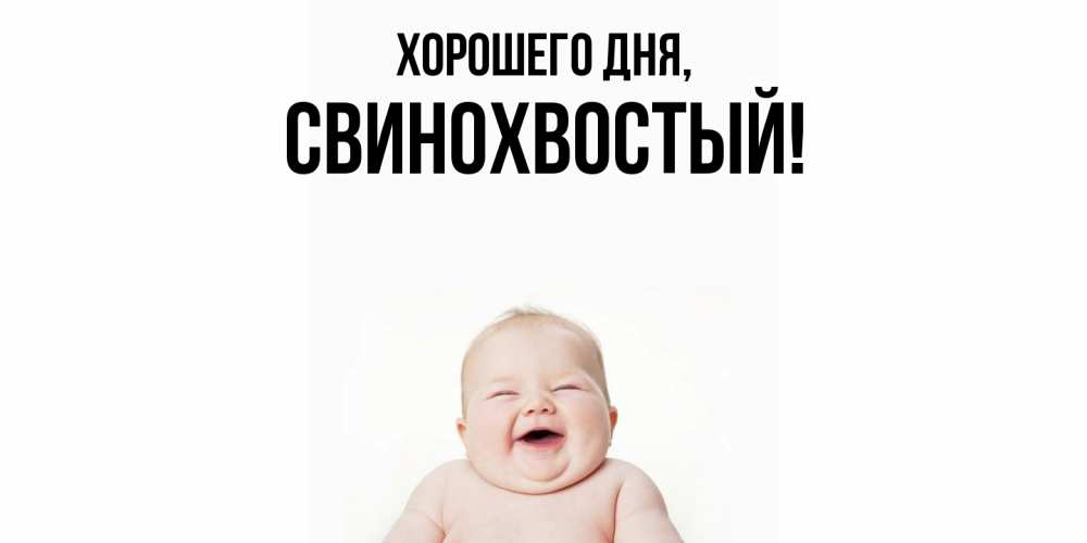 Открытка  для любимых и родных. свинохвостый, Хорошего дня  