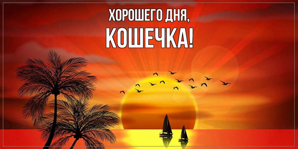 Открытка  для любимых и родных. Кошечка, Хорошего дня  