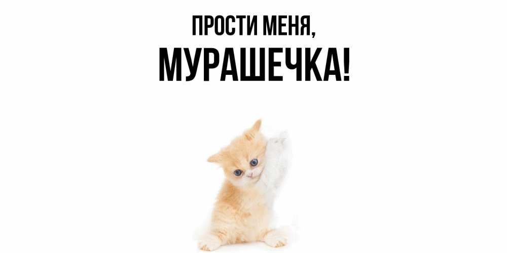 Картинка Прости меня, мурашечка