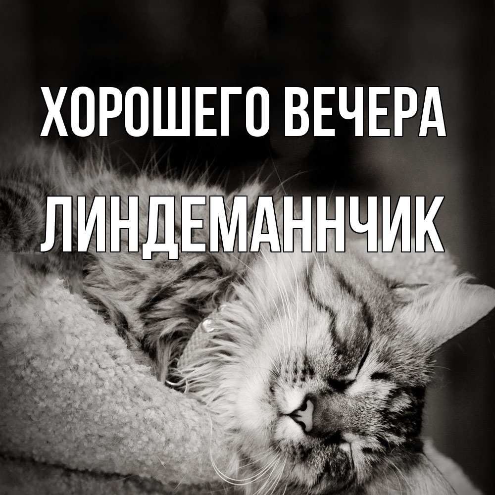 Открытка  для любимых и родных. линдеманнчик, Хорошего вечера  