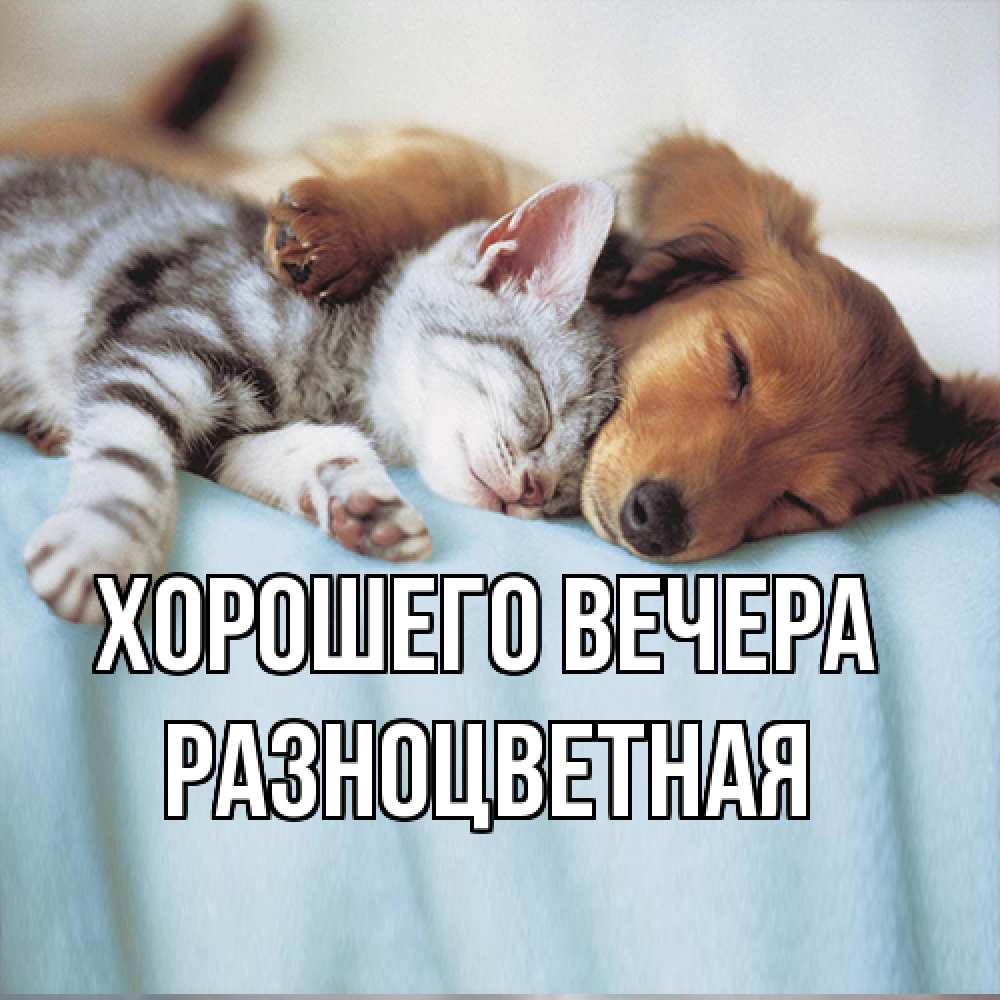Открытка  для любимых и родных. разноцветная, Хорошего вечера  