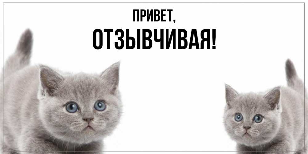 Картинка Привет, отзывчивая