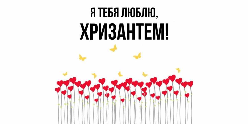 Открытка  для любимых и родных. хризантем, Я тебя люблю  