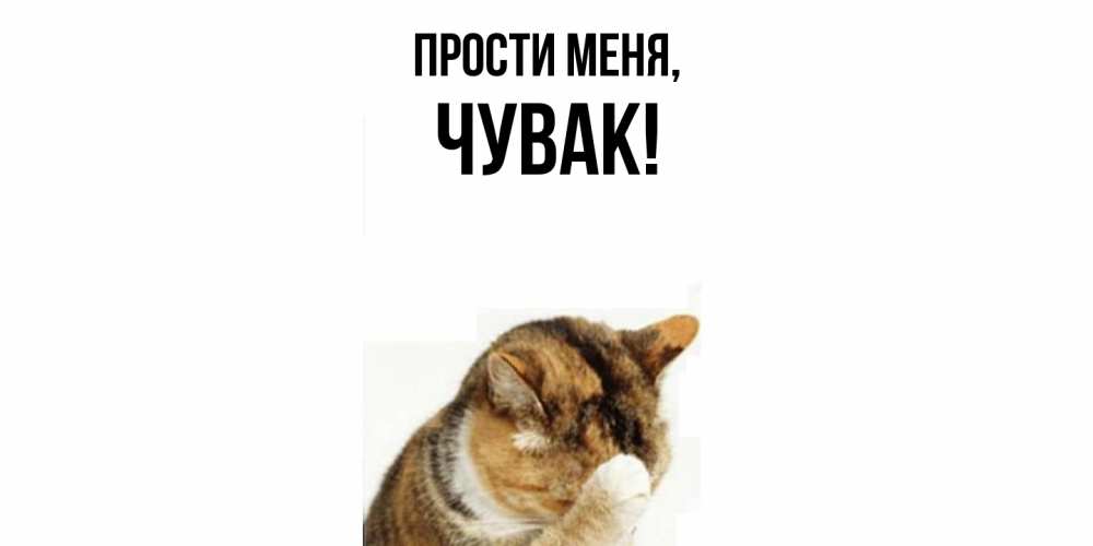 Открытка  для любимых и родных. Чувак, Прости меня  