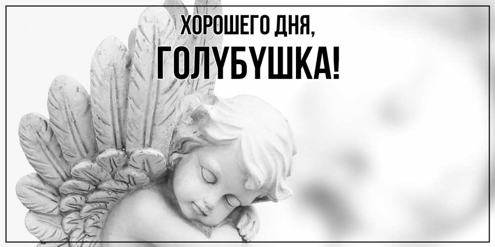 Открытка  для любимых и родных. голyбyшка, Хорошего дня  