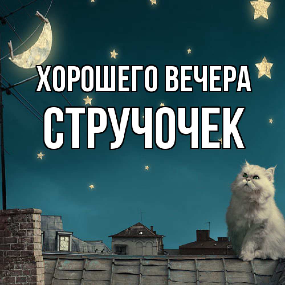 Картинка Хорошего вечера, стручочек