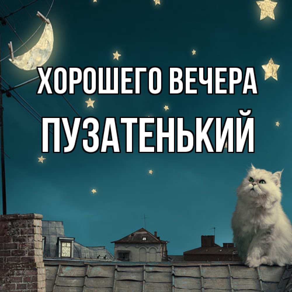 Картинка Хорошего вечера, пузатенький