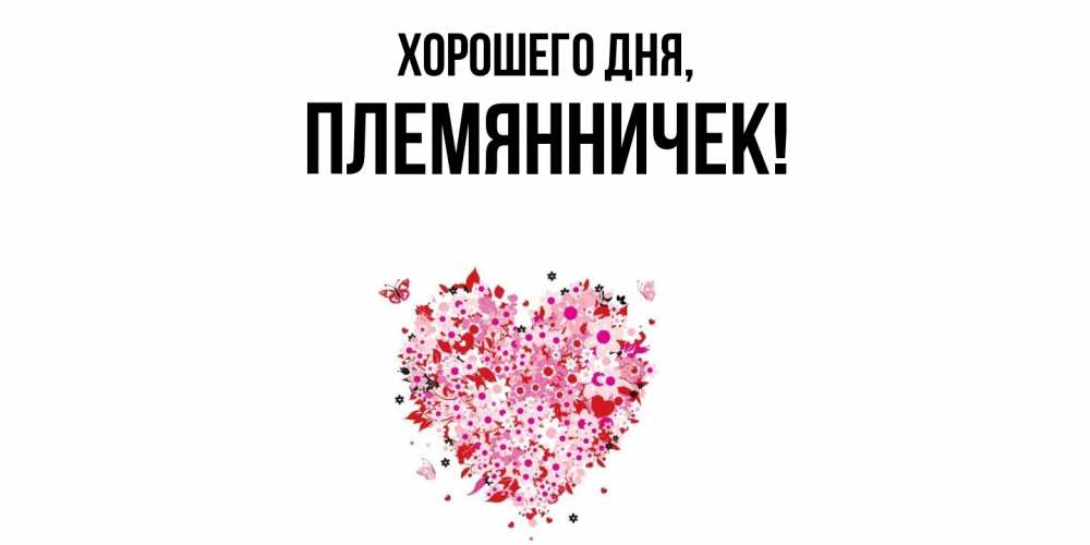 Открытка  для любимых и родных. Племянничек, Хорошего дня  