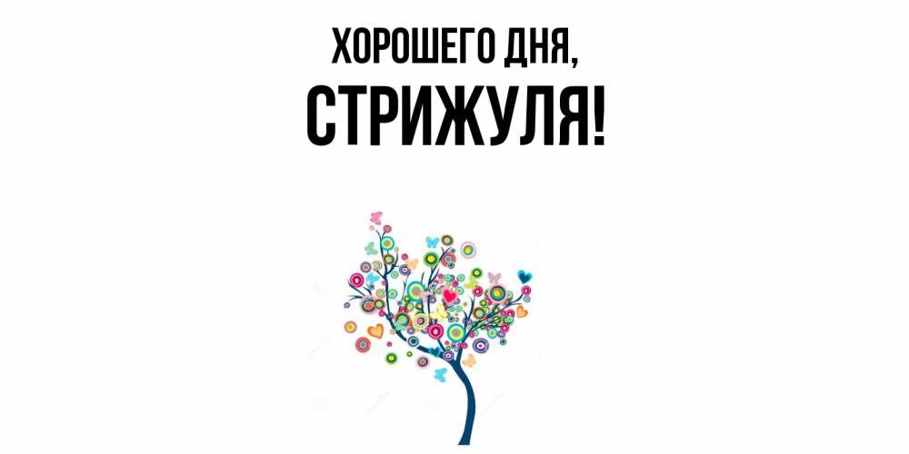 Открытка  для любимых и родных. стрижуля, Хорошего дня  