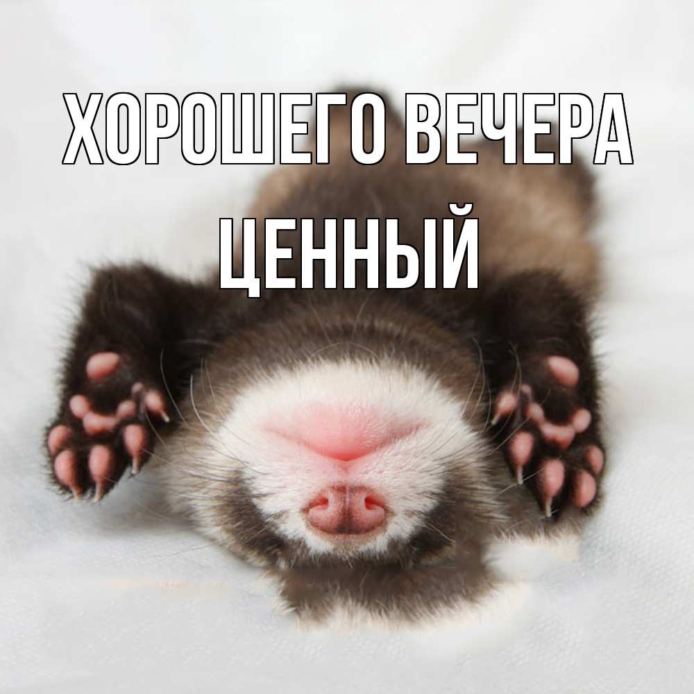 Открытка с именем, ценный, Хорошего вечера