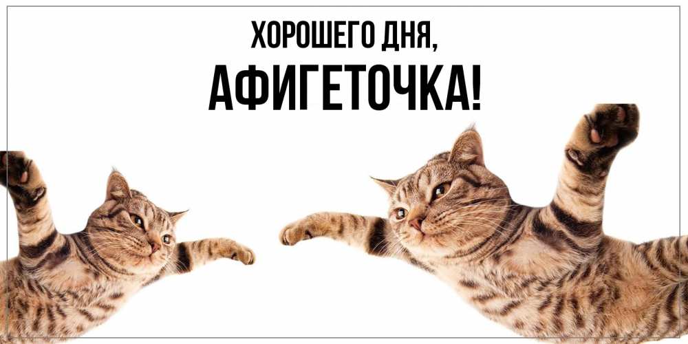 Открытка  для любимых и родных. афигеточка, Хорошего дня  