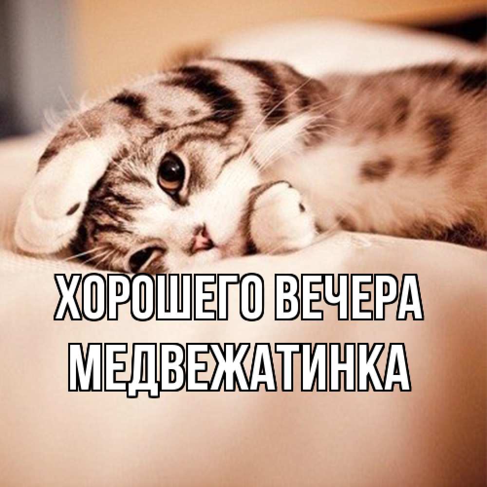 Открытка  для любимых и родных. медвежатинка, Хорошего вечера  