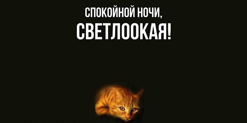 Открытка  для любимых и родных. светлоокая, Спокойной ночи  