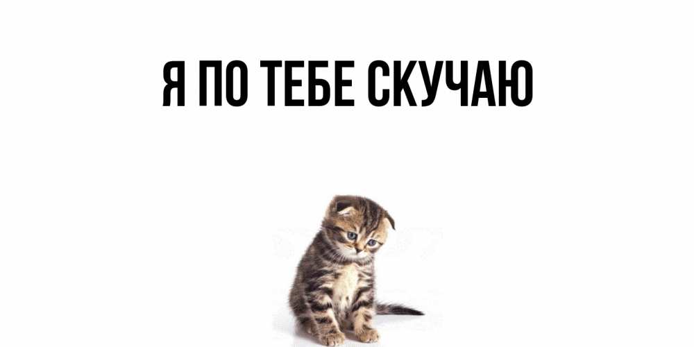 Картинка Я по тебе скучаю, 