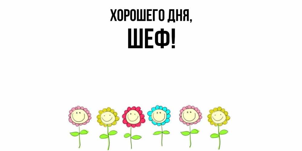 Открытка  для любимых и родных. Шеф, Хорошего дня  
