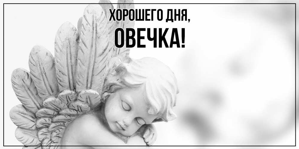 Картинка Хорошего дня, овечка