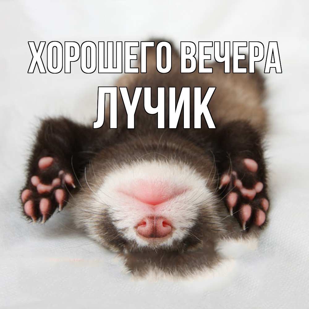 Открытка  для любимых и родных. лyчик, Хорошего вечера  