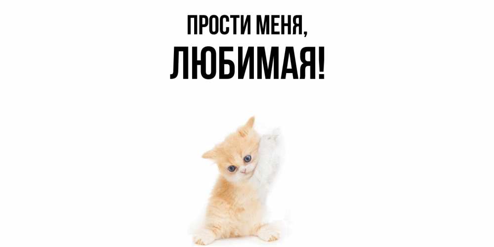 Картинка Прости меня, Любимая
