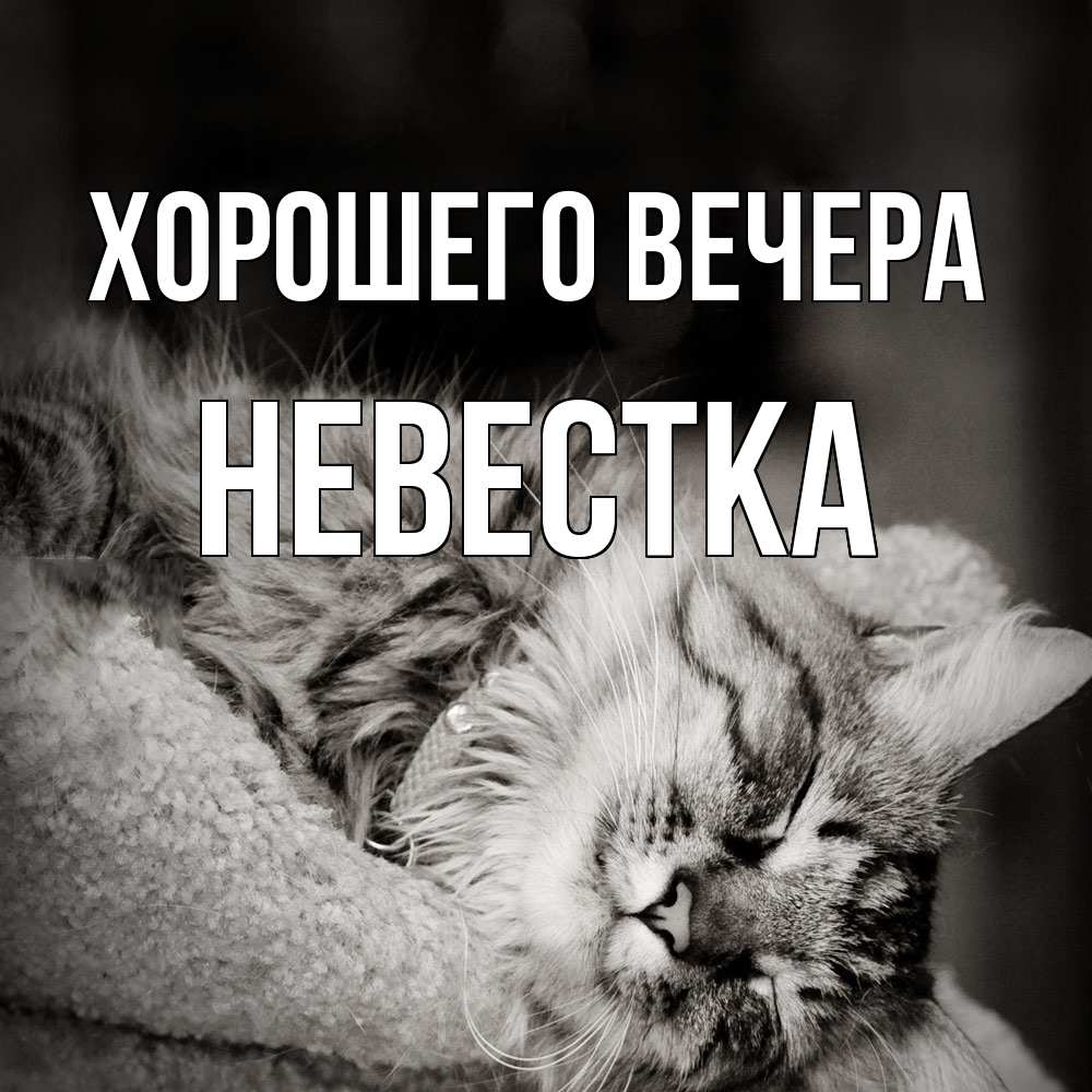 Открытка  для любимых и родных. Невестка, Хорошего вечера  