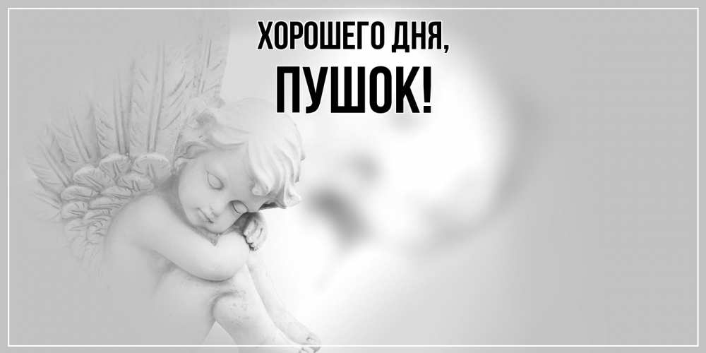 Открытка  для любимых и родных. пушок, Хорошего дня  