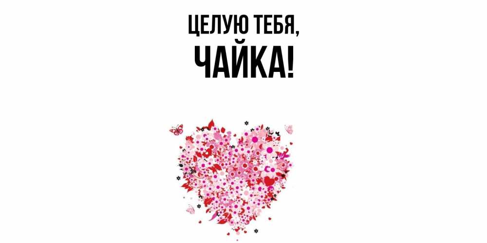 Открытка  для любимых и родных. чайка, Целую тебя  