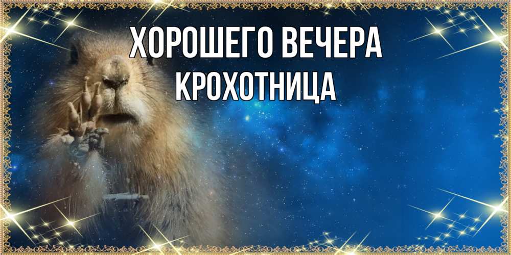 Открытка  для любимых и родных. крохотница, Хорошего вечера  