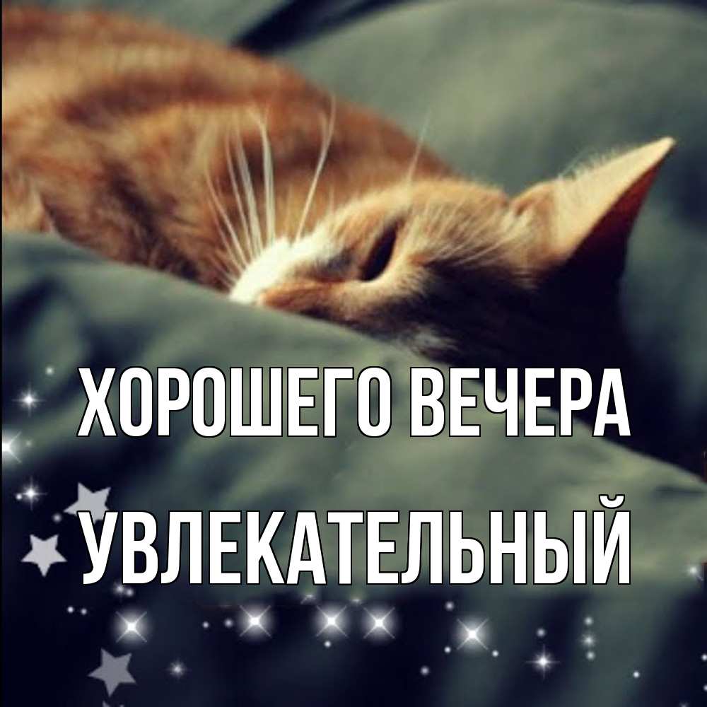 Открытка  для любимых и родных. увлекательный, Хорошего вечера  