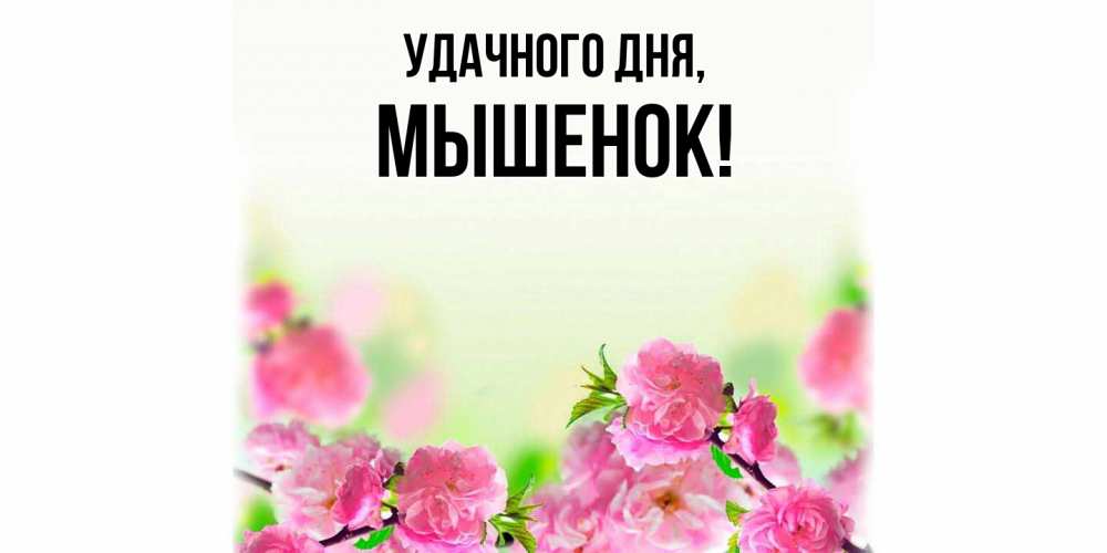 Открытка  для любимых и родных. мышенок, Удачного дня  