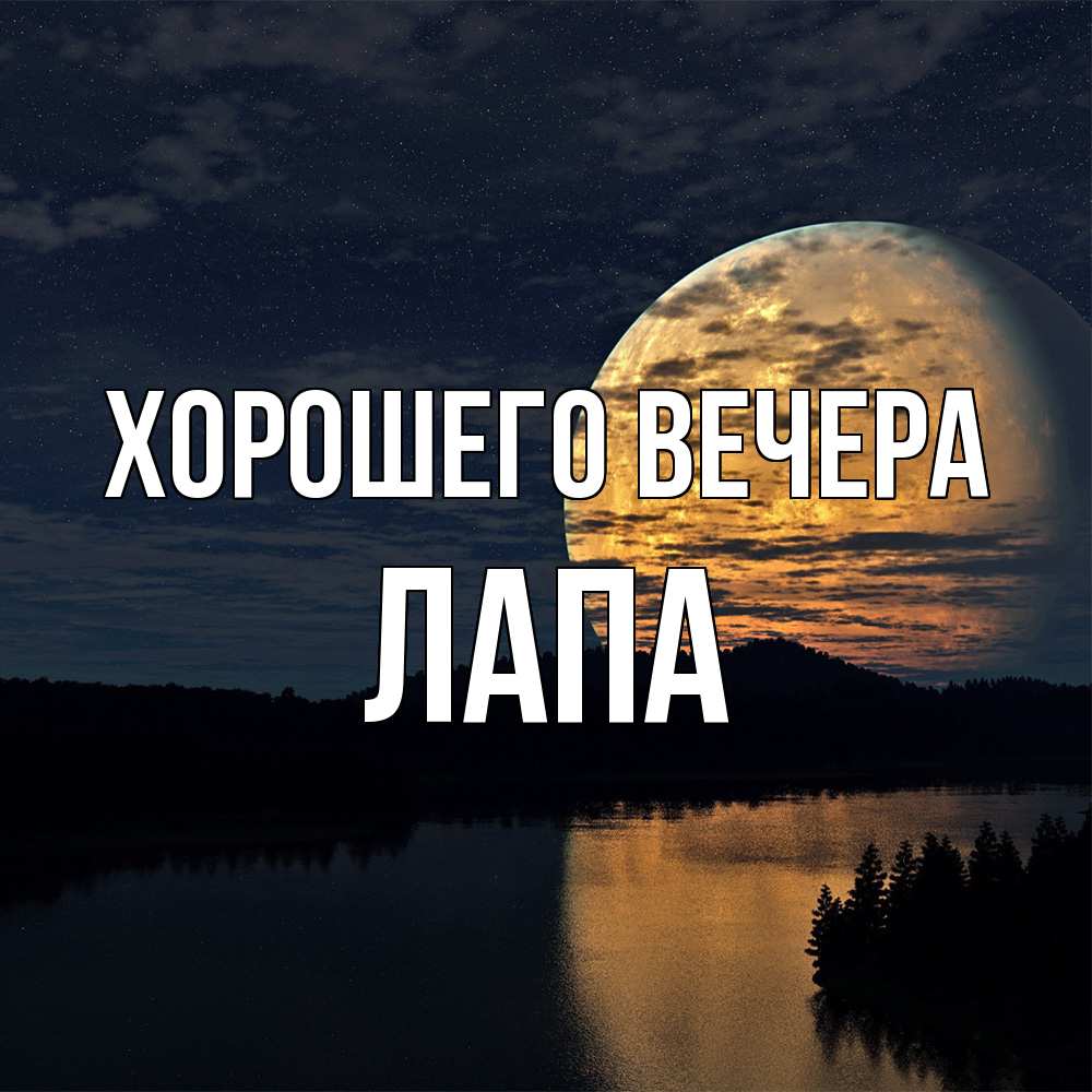 Открытка  для любимых и родных. лапа, Хорошего вечера  