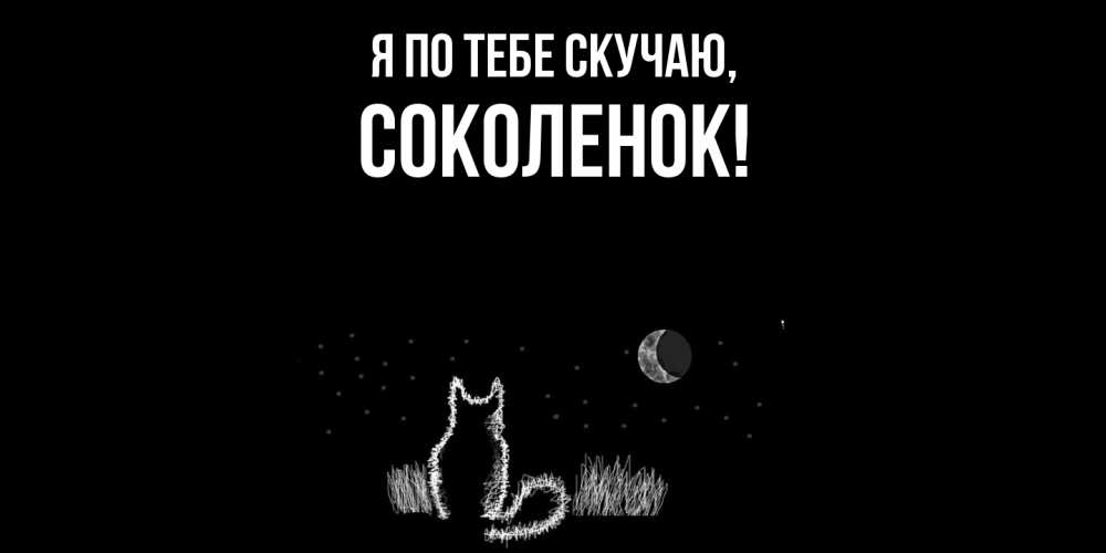 Картинка Я по тебе скучаю, соколенок