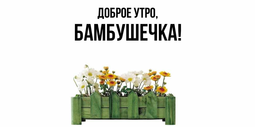 Картинка Доброе утро, бамбушечка