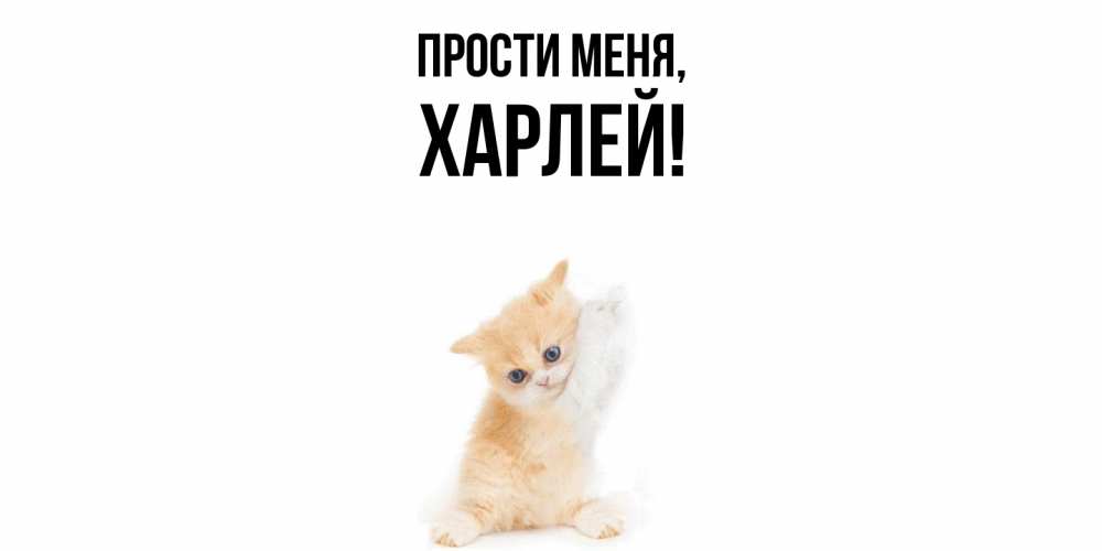 Открытка  для любимых и родных. харлей, Прости меня  