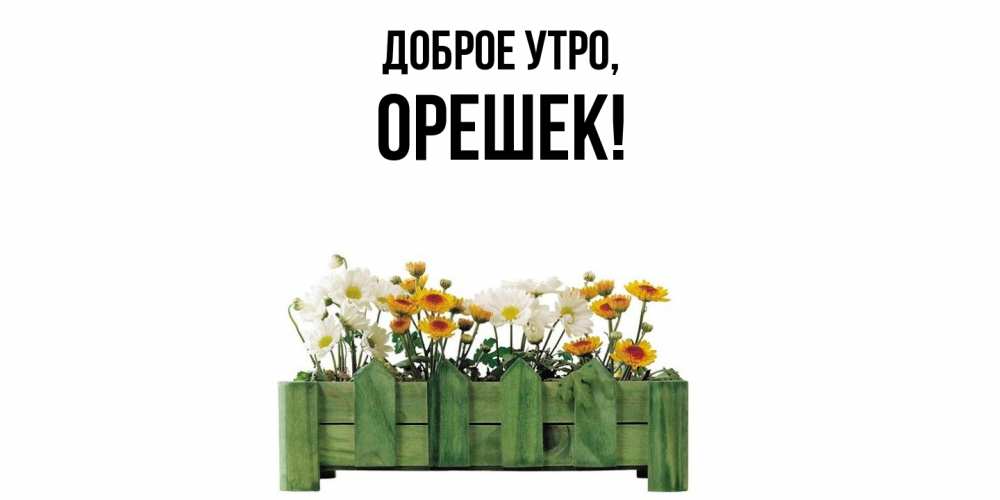 Открытка с именем, орешек, Доброе утро