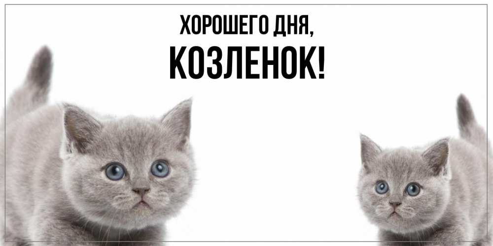 Открытка  для любимых и родных. козленок, Хорошего дня  