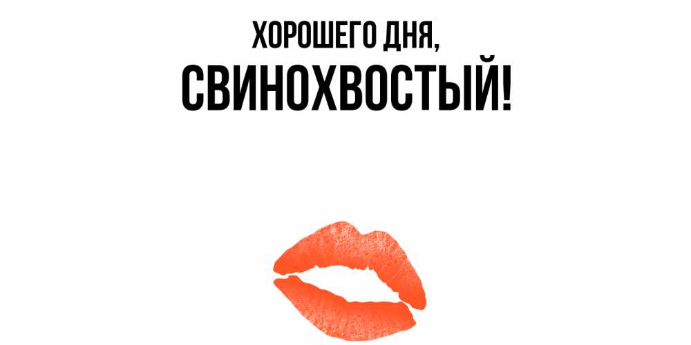 Открытка  для любимых и родных. свинохвостый, Хорошего дня  