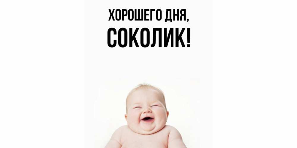 Открытка  для любимых и родных. соколик, Хорошего дня  