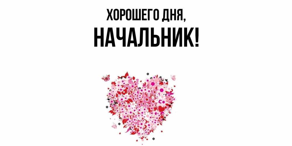 Открытка  для любимых и родных. Начальник, Хорошего дня  