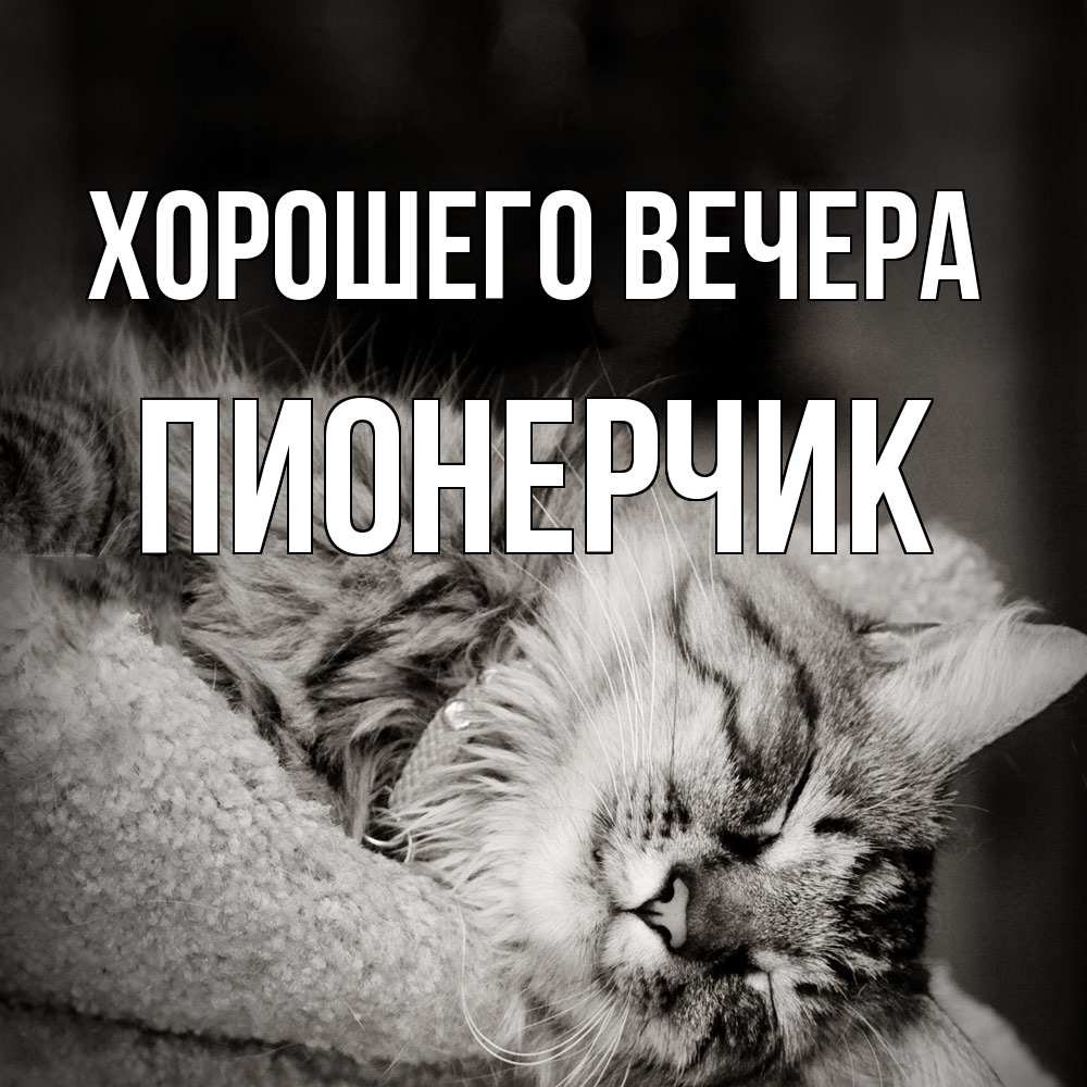 Открытка  для любимых и родных. пионерчик, Хорошего вечера  