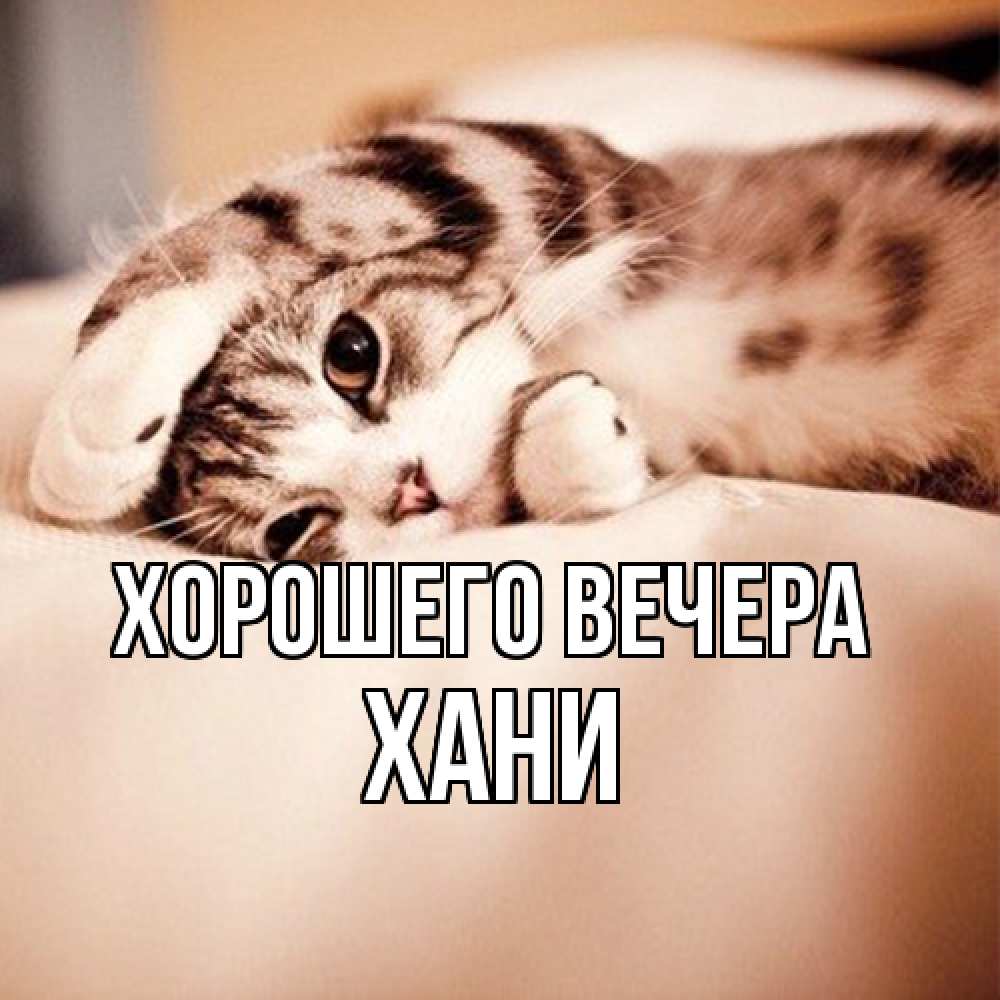 Открытка  для любимых и родных. хани, Хорошего вечера  