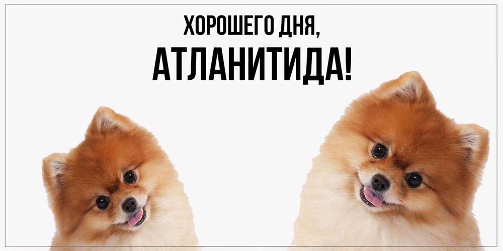 Открытка  для любимых и родных. атланитида, Хорошего дня  